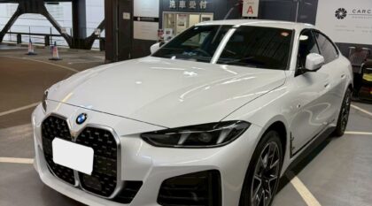 エシュロンナノフィルコート　420i